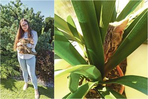 „Nusikaltimo“ vietoje užkluptos kauniečių katės pavergė širdis