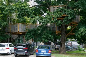 Žinomas verslininkas kviečia pietauti medžio viršūnėje – kone Vilniaus centre