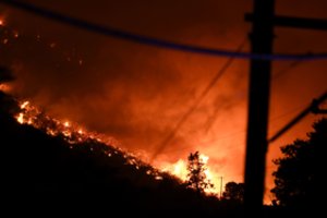 Los Andželo apylinkėse įsiplieskus dideliam gaisrui gyventojams nurodyta evakuotis