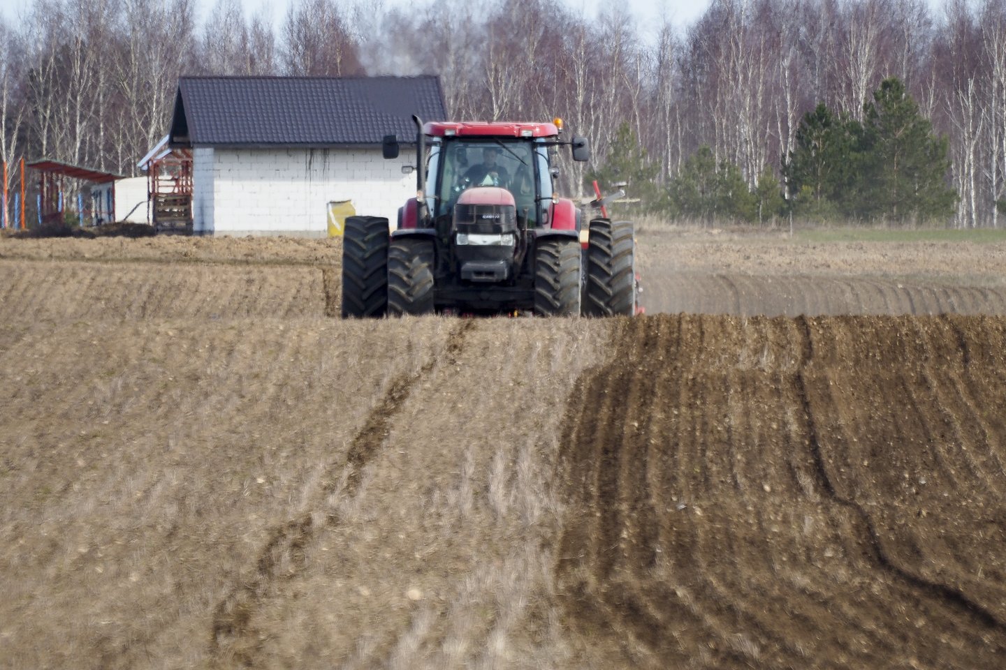 Sutarė dėl poreikio įvesti tiesioginių išmokų lubas žemdirbiams<br>V.Ščiavinsko nuotr.
