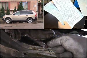 Teisme – „Volvo“ pirkėjų ir pardavėjų akistata: tokių dalykų meistras nebuvo matęs per 12 darbo metų