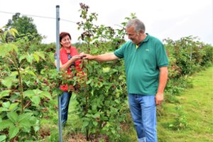Ūkininkais netyčia tapusi pora lietuviams siūlys užsienyje nusižiūrėtą idėją