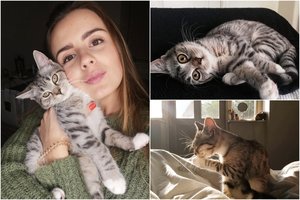 Katinėlis savo laimę atrado emigravęs į Daniją: dovanojo meilę nuo pirmos dienos