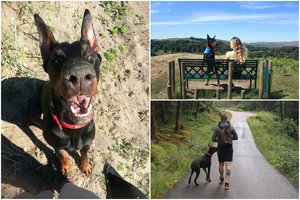 Ne pačią geriausią reputaciją turinčios veislės Hadas ir jo šeimininkai – apie netikėtą posūkį gyvenime ir sunkų sprendimą