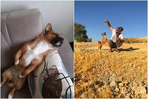 Į egzotišką šalį išsikrausčiusi šeima susidūrė su požiūriu į šunis: žmonės varstė akimis