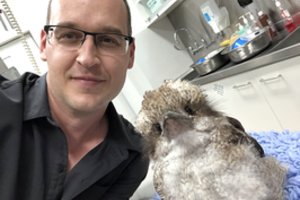 Australijos lietuvio sukurti medicininiai instrumentai gelbėja laukinius gyvūnus