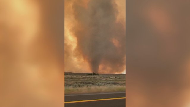 Kalifornijos miškus siaubia ugnies viesulas: pradėta žmonių evakuacija