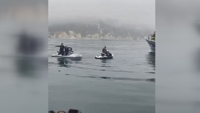 Užfiksuotas linksmas delfinų žaidimas: prikaustė gelbėtojų dėmesį