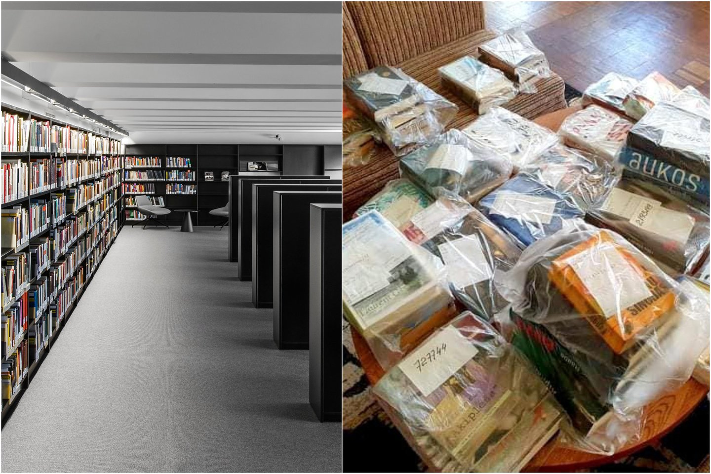 Praūžęs karantinas bibliotekas įkvėpė sparčiai tobulėti.<br>Lrytas.lt koliažas
