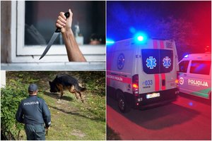 Žmogžudystė Kaune primena maniako išpuolį: aukai peiliu smogta apie 60 kartų