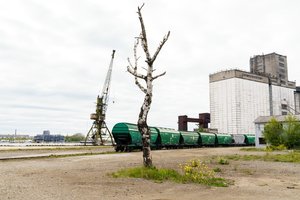 Tarptautinėje Rygos šiuolaikinio meno bienalėje RIBOCA2 – šeši lietuvių atstovai