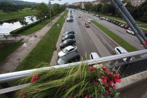 Rado, kur išleisti taršių automobilių mokesčio pinigus: pasodintų gėlių ir krūmų