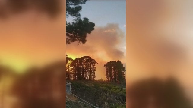 Dėl stipraus gaisro evakuota ištisa gyvenvietė: ugnis persikėlė į gyvenamųjų namų kiemus