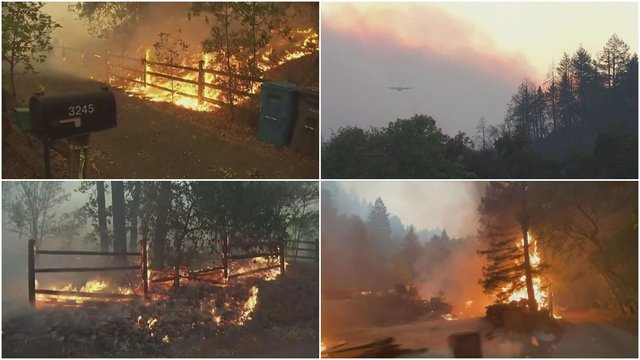 Nekontroliuojami Kalifornijos gaisrai ir toliau plinta: išdegė kone pusantros Lietuvos apimantis plotas