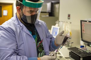 JAV suteiktas leidimas koronavirusą gydyti persirgusių pacientų kraujo plazma