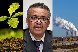 PSO vadovas ragina ekonomikos atsigavimą tausojant aplinką