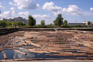 Sujudimas Rygoje – lietuviai į vandenį paleido daugybę rąstų