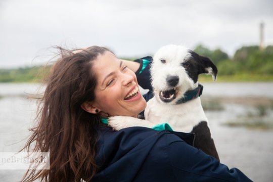 Ievą ir Bučkį užklupo meilė iš pirmo žvilgsnio: šuo stebina ir linksmina praeivius
