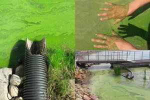 Ežere prie Telšių aptiko 31 vamzdį: įtaria, jog į vandenį iš namų plūdo srutos