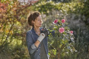 Metas pjauti ir genėti: ką reikia žinoti besibaigiant šiltajam sezonui