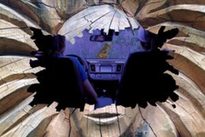 Marselyje pirmą kartą pristatomas jungtinis Baltijos šalių meno projektas