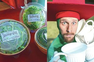 Iki tol tik bulves kasęs vyras ėmėsi ūkininkauti – muzika jo namuose iki nakties skamba ne šiaip sau