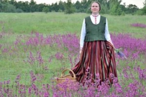 Žemaičių pamėgtos vaistažolės – ne tik stiprina širdį ar valo kraują, bet ir pagardins sumuštinį