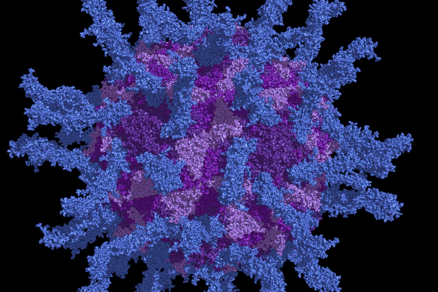 Poliomielito virusas nuo šiandien įrašytas į Afrikoje išnaikintų virusų sąrašą<br> 123rf.com asociatyvi nuotr.