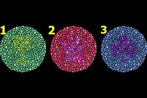 Kurį daiktą matote aiškiau už kitus? Tai rodo šį tą įdomaus