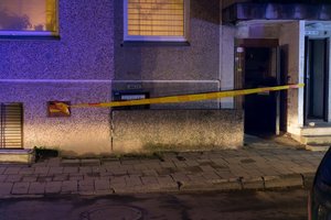 Kūdikį prie konteinerių palikusiai motinai – priverstinis gydymas psichiatrijos ligoninėje