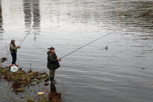 Nuo rugsėjo – lašišų ir šlakių žvejybos rudens sezonas