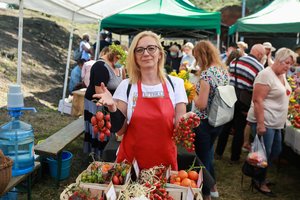 Veislinių pomidorų augintojai: šios daržovės mėgsta, kad jų „kojos“ būtų šiltai