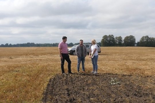 Rudeninė sėja: viskas, ką privalo žinoti kiekvienas ūkininkas