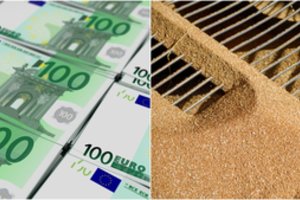 FNTT pareigūnams įkliuvo 6 sukčiavę direktoriai: grūdų verslas apkarto