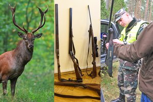 Už Jurbarko r. nušautus elnius brakonieriui skyrė 19 tūkst. eurų baudą