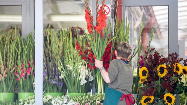 Gėlių pardavėjai: virusas tradicijų nepakeitė – mokiniai į klases grįš nešini gėlėmis