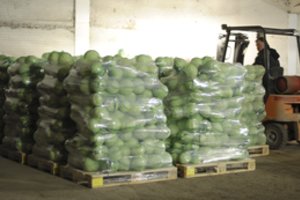 Ūkininkai su nerimu laukia rugsėjo: dalį derliaus gali tekti tiesiog supūdyti