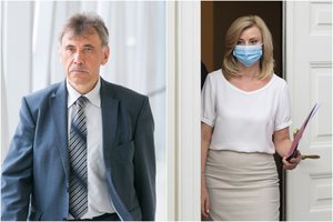 R. Tamašunienė apie Z. Jedinskio pareiškimus dėl Baltarusijos: svarbi yra frakcijos pozicija