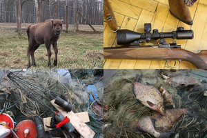 Už padarytą žalą gamtai Panevėžio r. pareigūnai skyrė 86 tūkst. eurų