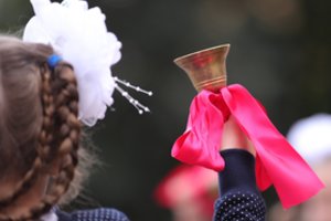 Mokslo metų pradžią apkartino direktorės elgesys – įtariama klastojusi rinkėjų balsus