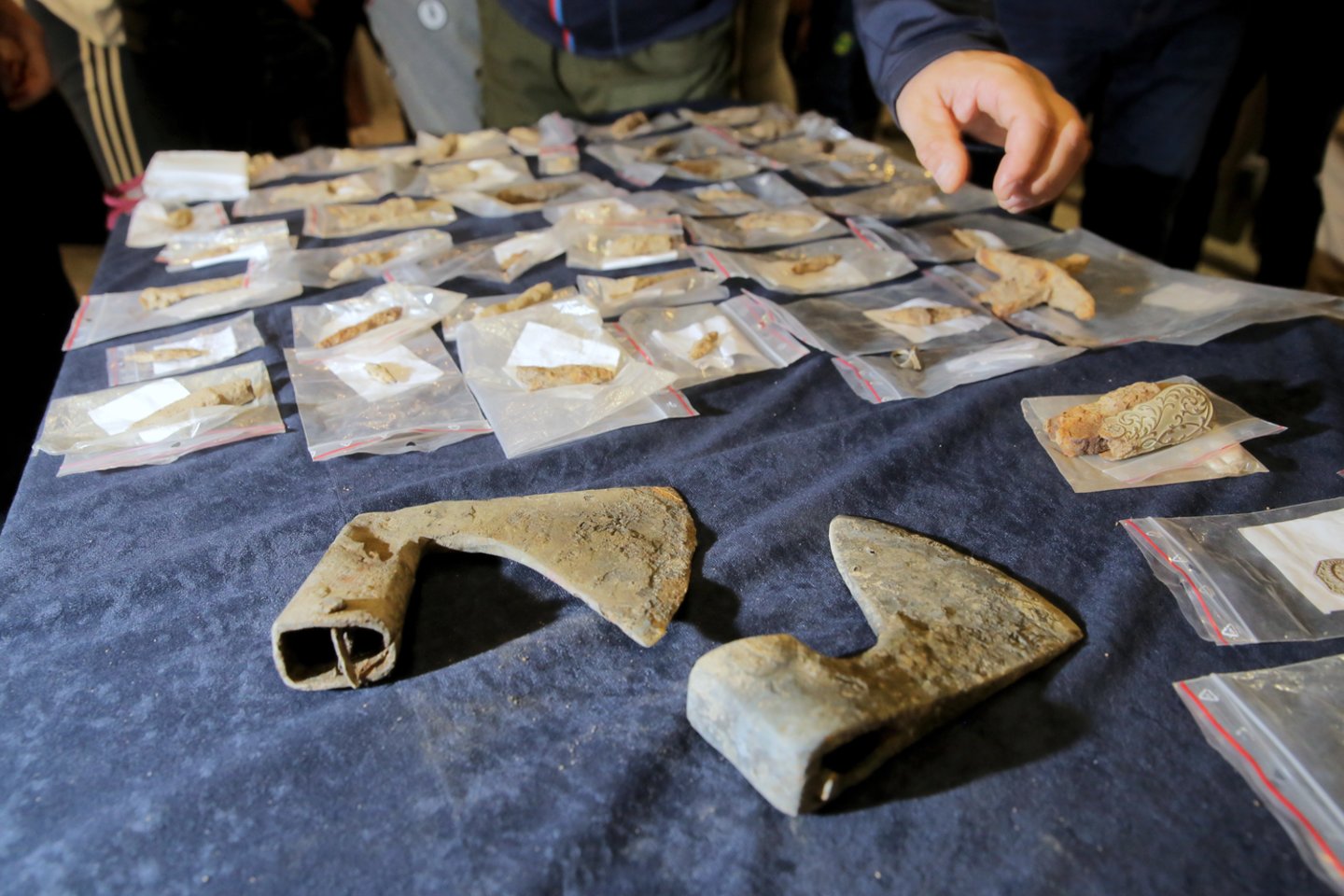  Šių metų Žalgirio mūšio lauko tyrimo metu be dviejų karo kirvių buvo rastos ir kelios dešimtys kitų artefaktų.<br> Tomaszo Waszczuko / PAP nuotr.