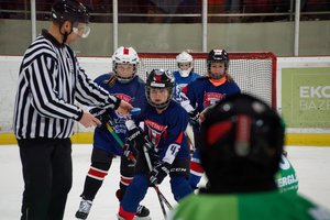 Meistriškumo turi siekti ne tik ledo ritulininkai, bet ir treneriai