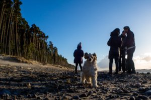 Olando Kepurėje nesusitvarko su lankytojų gausa