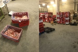 FNTT išaiškino nelegalų tinklą: šešėlyje pardavė vištienos už beveik milijoną eurų