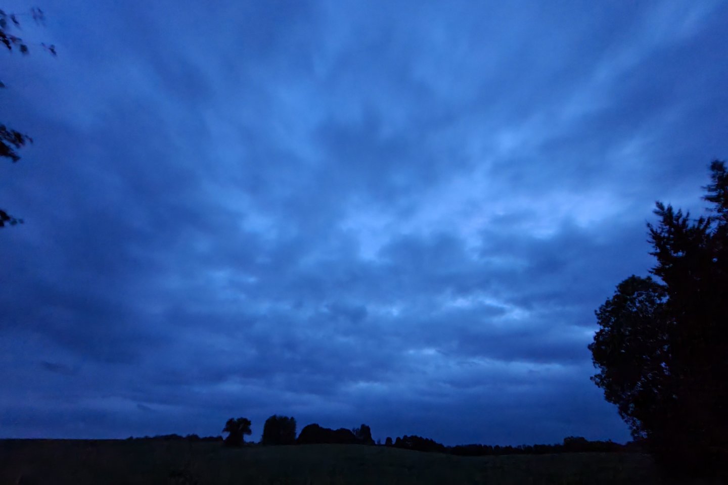   Naktinė fotografija be papildomų šviesos šaltinių. Nors taip ir neatrodo, fotografuota stiprioje tamsoje, rugpjūčio vakarą apie 23 val. kaime. Kontrastai silpni, ryškumas irgi.<br> A. Rutkausko nuotr.