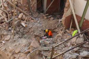 Beirute sprogimo vietoje užfiksavus pulsą atnaujinta galimai gyvo žmogaus paieška