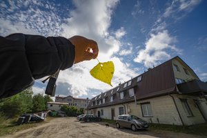 Klimatologas apie likusį rugsėjį: Lietuva pateks į anomalijų zoną