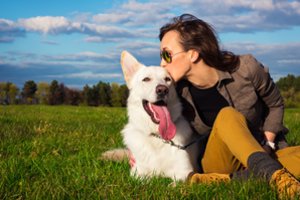 Šunys su žmonėmis bendrauja ne tik lodami: ką jie mums sako?
