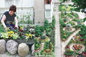 Vilniaus daugiabučių kieme gyventoja kuria pasakiškus gėlynus: moters fantazija – beribė