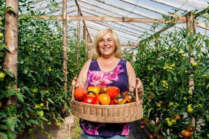 80 rūšių pomidorų auginanti ramygalietė kiekvieną sezoną išmoksta po pamoką: ką atrado šiemet